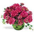 Flowers to Gurgaon : Flowers to Noida : Flowers to New Delhi