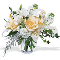 Flowers to Gurgaon : Flowers to Noida : Flowers to New Delhi