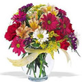 Send Flowers to Delhi : Flowers to delhi
