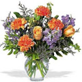 Flowers to Gurgaon : Flowers to Noida : Flowers to New Delhi