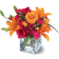 Gifts to Delhi : Flowers to Delhi : Cakes to Delhi