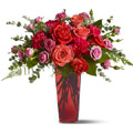 Flowers to Gurgaon : Flowers to Noida : Flowers to New Delhi