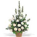 Flowers to Delhi : Send Valentines Day Flowers to Delhi