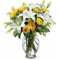 Flowers to Gurgaon : Flowers to Noida : Flowers to New Delhi