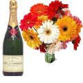 Champagne to Delhi : Flowers to Delhi