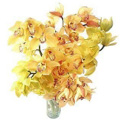 Send Flowers to Delhi : Orchid Flowers to Delhi
