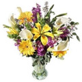 Fathers Day Flowers to Delhi : Flowers to Delhi : Send Father's Day Flowers to Delhi
