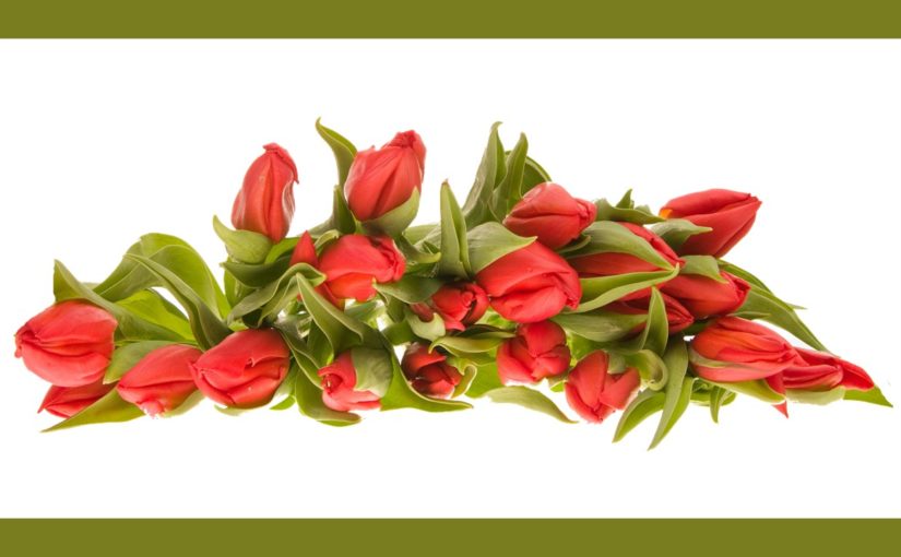 Find the Best Winter Flowers for Delivery in Delhi