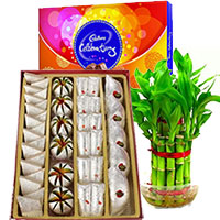 Deliver Mpther's Day Gifts to Delhi