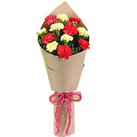 Cheap Flower Delivery in Delhi : Place FlowersOrder with same day delivery