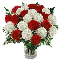 Send Rakhi Flower to Delhi contain of Red White Carnation in Vase 24 Flowers