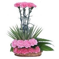 Rakhi with Flower Delivery in Delhi. Online Pink Carnation Arrangement 20 Flowers to Delhi