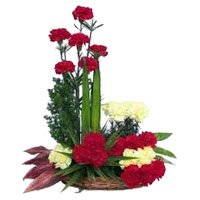 Send Red Yellow Carnation Arrangement 24 Flowers with Rakhi in Delhi