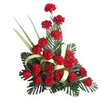 Same Day Deliver of Rakhi Flowers to Delhi. Rakhi with Red Carnation Arrangement 20 Flowers in Delhi