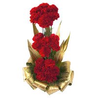Send 30 Red Carnation Basket of Best Rakhi Flowers to Delhi