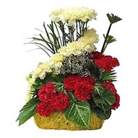 Send Rakhi with Red Yellow Carnation Basket of 24 Flowers to Delhi
