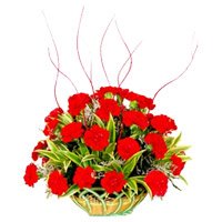 Deliver Rakhi with Red Carnation Basket of 25 Flowers to Delhi