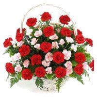 Red Pink Carnation Basket 40 Flowers