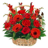 Online Order of Red Rose and Carnation with Glad Basket of 15 Flowers in Delhi on Rakhi