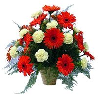 Online Delivery of Rakhi Flowers in Delhi. Red Gerbera White Carnation Basket 24 Flowers to Delhi