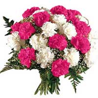 Mother's Day Flower Delivery Delhi : Pink White Carnations