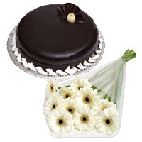 Flowers to Delhi - White Gerbera Chocolate Truffle Cake