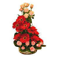 Deliver Rakhi and Flowers to Delhi comprising of Red Gerbera Pink Roses Basket 24 Flowers