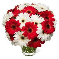 Send Rakhi and Flowers to Delhi