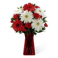 Place Online Order of Red White Gerbera Carnation in Vase 12 Flowers to Delhi on Rakhi