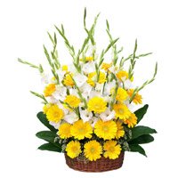 Send Flowers to Delhi : Gerbera Glads Flowers Arrangement