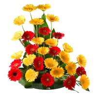 Valentine's Day Flowers to Delhi : Red Yellow Gerbera