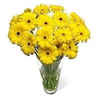 Deliver Yellow Gerbera in Vase 15 Flowers in Delhi Online on Rakhi