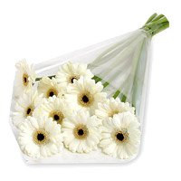 Send Wedding Flowers to Delhi - White Gerbera