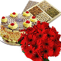 Online Christmas Gifts Delivery in Delhi NCR