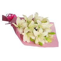 New Year Flowers to Delhi : Pink White Lily flowers 