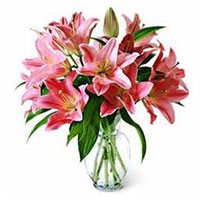 Online Father's Day Flower Delivery Delhi