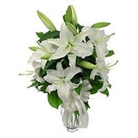 Online Flower Delivery in Delhi : White Lily 