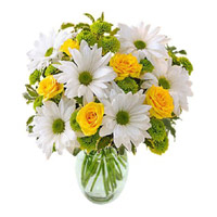 Online Valentine Flower Delivery in Delhi - Anthurium Basket