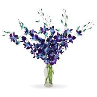 Place Order for Blue Orchid Vase 6 Stem Flowers in Delhi Online on Rakhi
