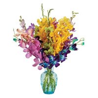 Online Rakhi Flower Delivery of Mixed Orchid Vase 15 Flowers in Delhi with Stem