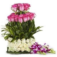 Same day Flowers Delivery in Delhi