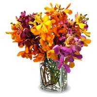 Best Rakhi Flowers Delivery in Delhi made of Mixed Orchid Vase 10 Flowers Stem