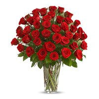 Send Flowers to Delhi : Roses in Gurgaon