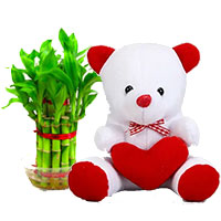 Teddy Day Gifts to Delhi