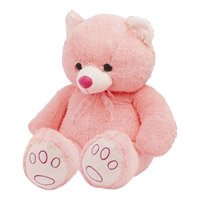 Shop for Valentines Teddy Day Gifts in Delhi