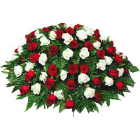 Send 100 Roses to Delhi