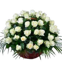 Online Flowers to Delhi : White Roses