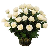 Deliver Flowers to Delhi : 24 White Roses Basket