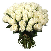 Deliver Flowers to Delhi : 50 White Roses