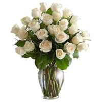 Send Online Flowers to Delhi : White Roses